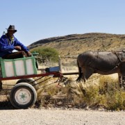 Namibians