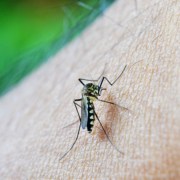 Malaria in Namibia