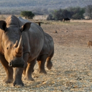 Facts about Namibia