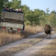 Namibia Safari